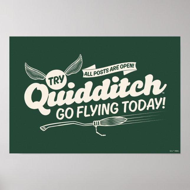 Póster POSTER de contratación de QUIDDITCH™ (Frente)