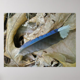 Póster Poster de coordinación de los artículos de la