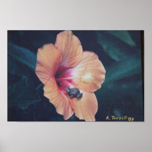 PÓSTER POSTER DE COQUI