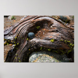 Póster Poster de corrientes