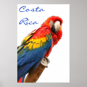 Póster Poster de Costa Rica Scarlet Macaw