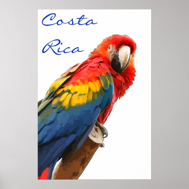 Póster Poster de Costa Rica Scarlet Macaw (Frente)