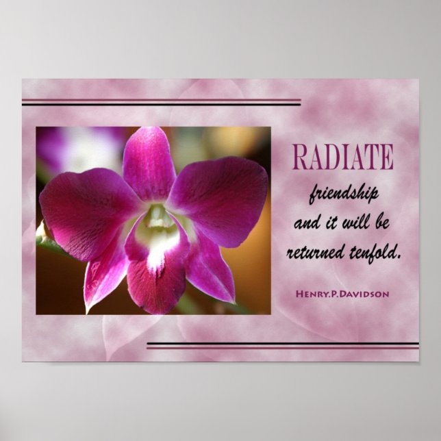 PÓSTER POSTER DE COTIZACIÓN DE LA AMISTAD (Frente)