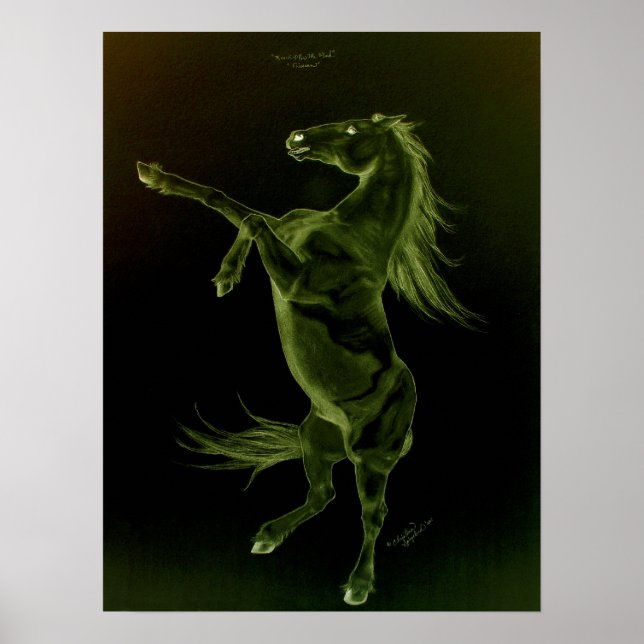 Póster Poster de crianza de caballos negros verdes (Frente)
