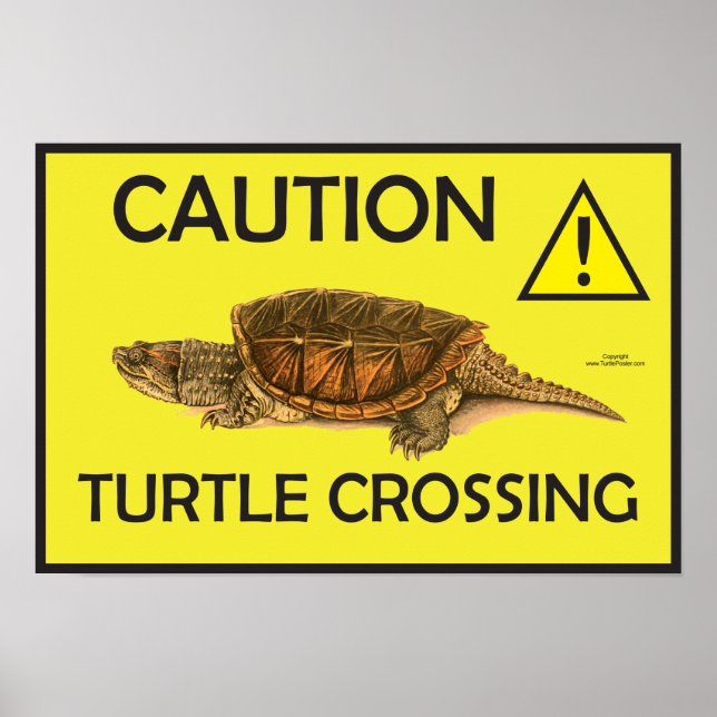 Póster Poster de cruzamiento de tortuga con sigilo de pre (Frente)