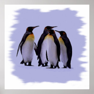 Póster Poster de cuatro pingüinos 24X24"