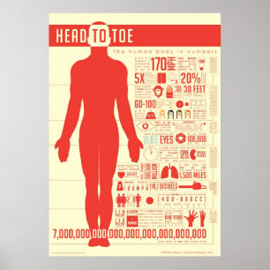 Póster Poster de cuerpo humano en números