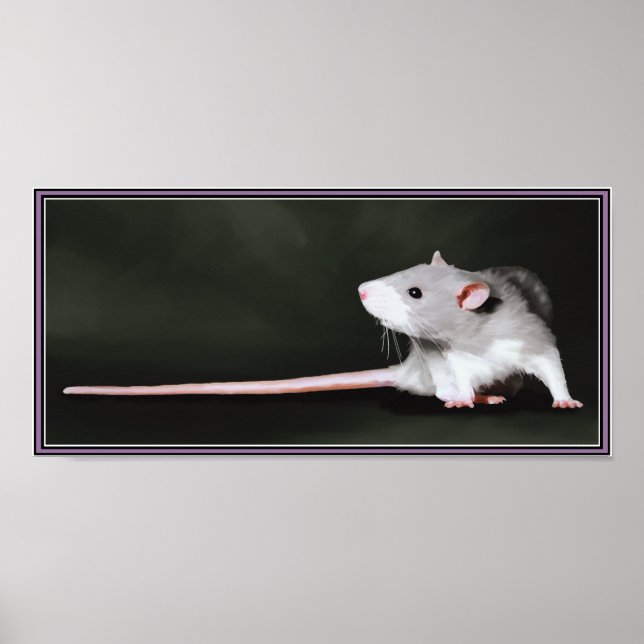 Póster Poster de Cute Rat (Frente)