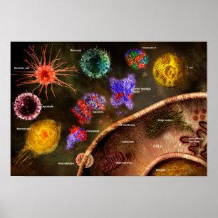 Póster Poster de Cytokines