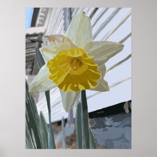 Póster Poster de Daffodil Portrait