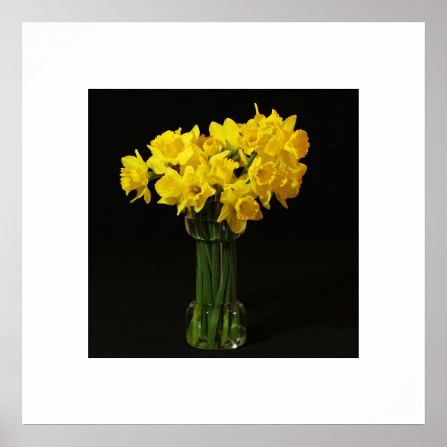 Póster Poster de Daffodils (Frente)