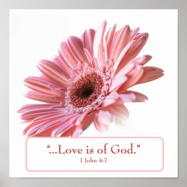 Póster poster de Daisy "Rubor" (Frente)