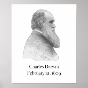 Póster Poster de Darwin