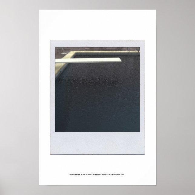 Póster POSTER de DAVID'S POOL SERIES p09e05 (Frente)