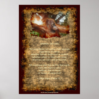 Póster Poster de decreto de zoológico para animales salva