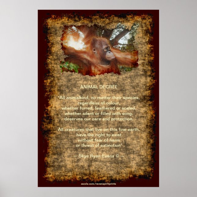 Póster Poster de decreto de zoológico para animales salva (Frente)