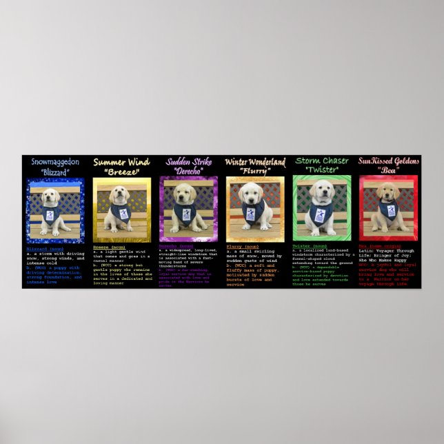 Póster Poster de Definiciones de Litro Meteorológico y No (Frente)