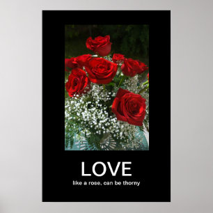 Póster Poster de Demotivación de Amor