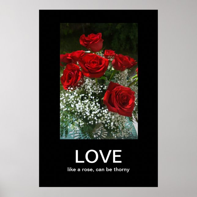 Póster Poster de Demotivación de Amor (Frente)
