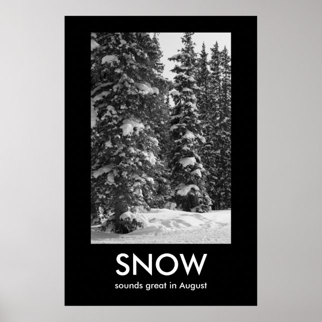 Póster Poster de Demotivación de la NIEVE (Frente)