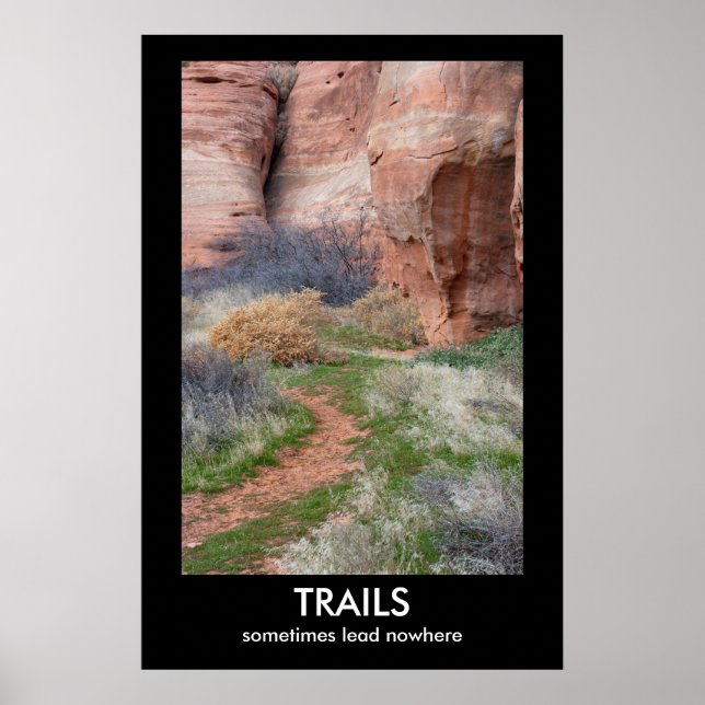 Póster POSTER de Demotivación de TRAILS (Frente)