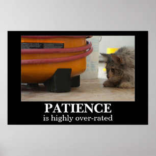 Póster Poster de Demotivational del gato y del ratón de