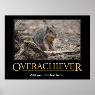 Póster Poster de Demotivational: Overachiever