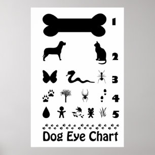 Póster Poster de diagrama ocular de perros