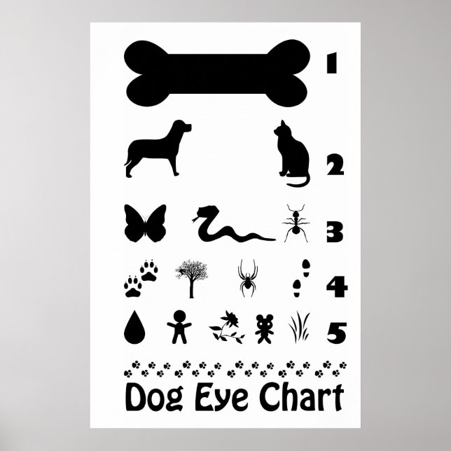 Póster Poster de diagrama ocular de perros (Frente)