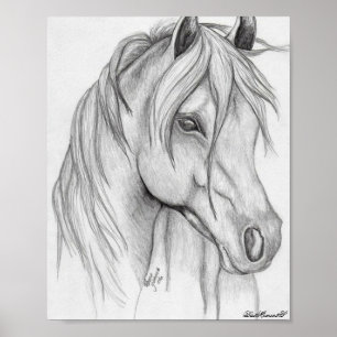 Póster poster de dibujo de caballos