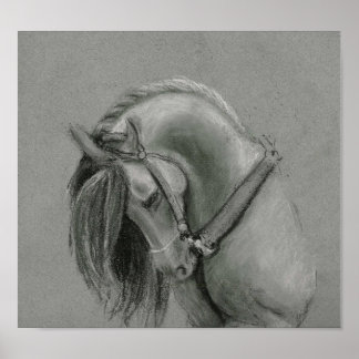 Póster Poster de dibujo de caballos de España