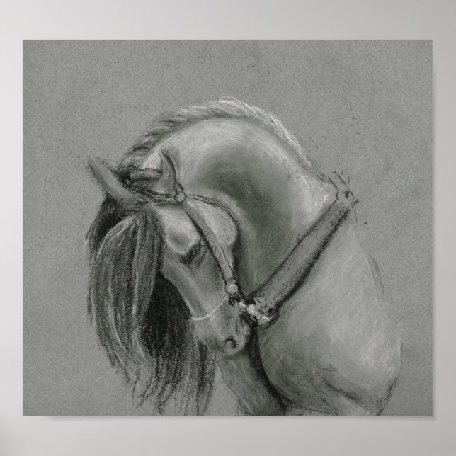Póster Poster de dibujo de caballos de España (Frente)