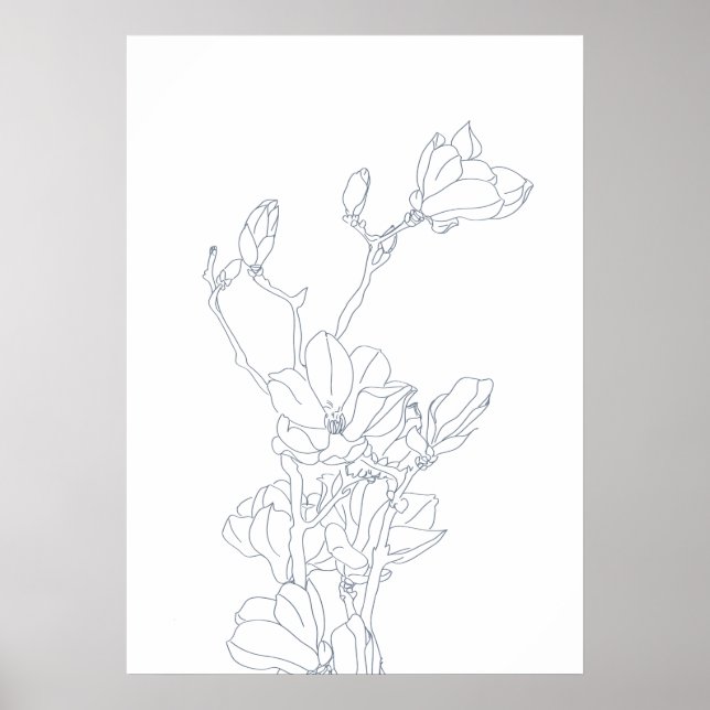 Póster poster de dibujo de flores de magnolia (Frente)