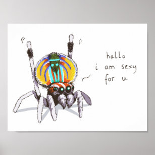 Póster Poster de dibujo de la araña de pavo real de color