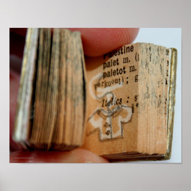 Póster Poster de dibujo de la chaqueta del libro en minia (Frente)