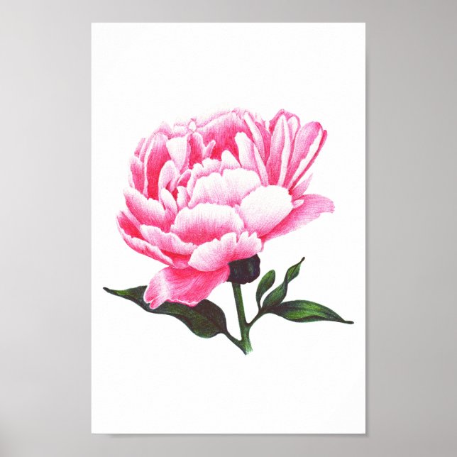 Póster Poster de dibujo de la pluma de Ilustracion de flo (Frente)