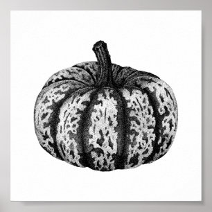Póster Poster de dibujo de la tinta de la calabaza otoñal