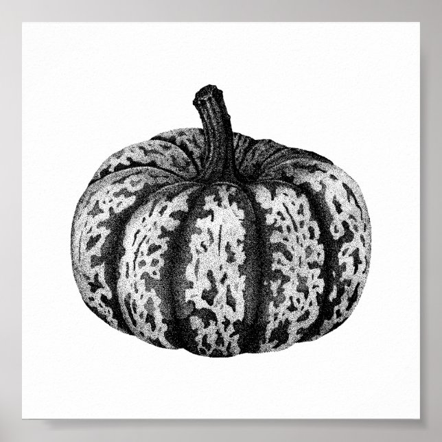 Póster Poster de dibujo de la tinta de la calabaza otoñal (Frente)