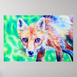 Póster Poster de dibujo de lápiz de color Fox