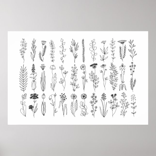 Póster Poster De Dibujo De Tintas De Flores Y Hierbas (Frente)