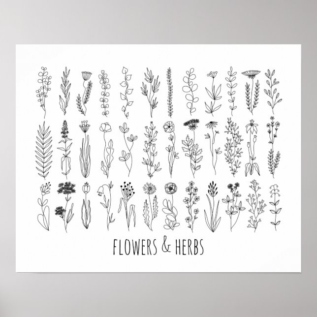 Póster Poster De Dibujo De Tintas De Flores Y Hierbas (Frente)