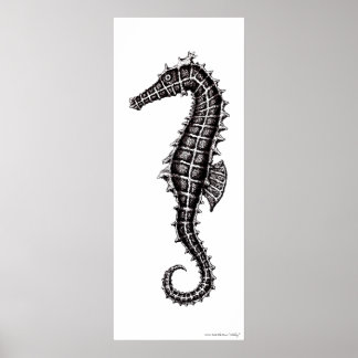 Póster Poster de dibujo en blanco y negro de caballitos d