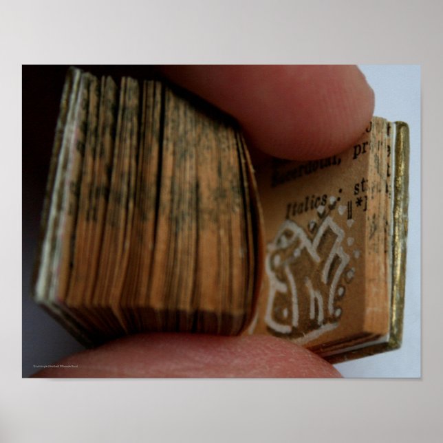 Póster Poster de dibujo sin título del libro en miniatura (Frente)