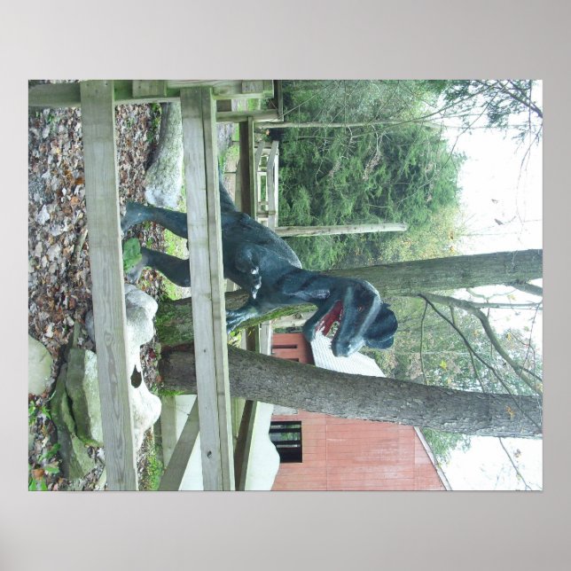 Póster Poster de Dinasaur (Frente)