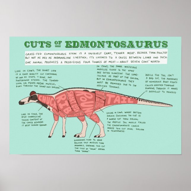Póster Poster de dinosaurios - Edmontosaurus (Frente)