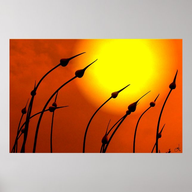 Póster Poster de Diseño de la Naturaleza (Frente)