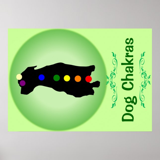 Póster Poster de Dog Chakras (Frente)