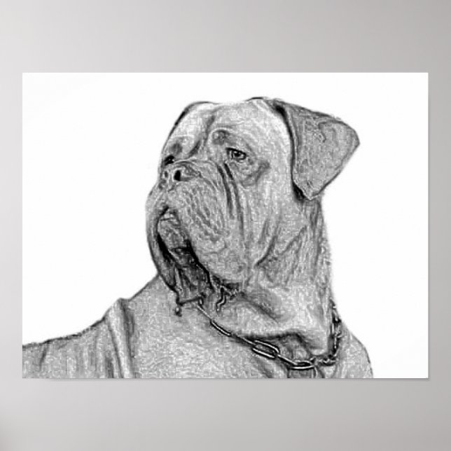 Póster Poster de Dogue de Bordeaux (Frente)