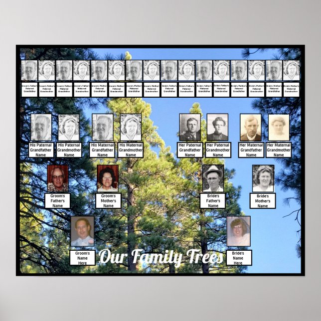 Póster Poster de dos árboles familiares (Frente)