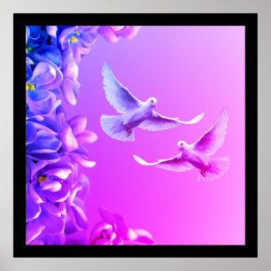 Póster Poster De Dos Bellas Palomas Blancas
